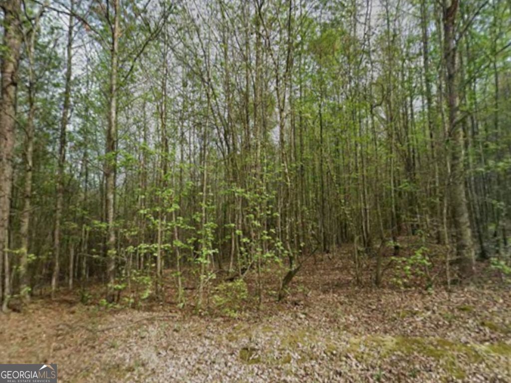 0 Mitchell Road, Maysville, GA 30558 — exterior
