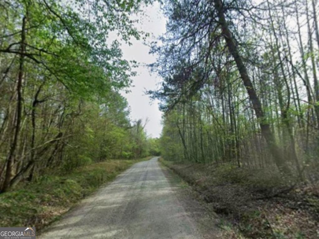 0 Mitchell Road, Maysville, GA 30558 — photo 2