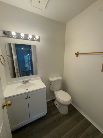 10G Fernwood Drive 10G, Bolingbrook, IL 60440