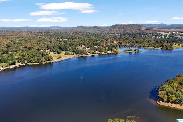 555 MOUNTAIN VIEW DRIVE, Wilsonville, AL 35186