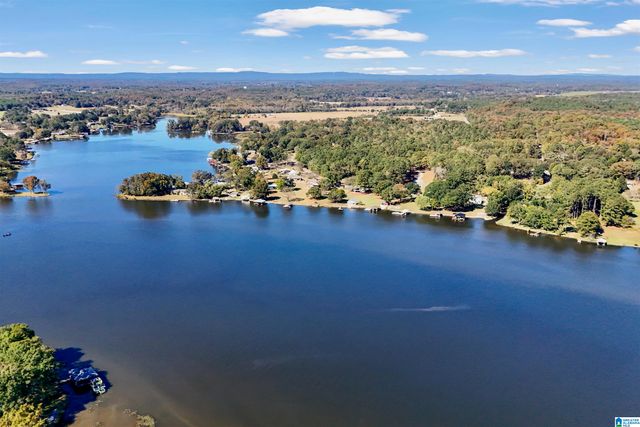 555 MOUNTAIN VIEW DRIVE, Wilsonville, AL 35186