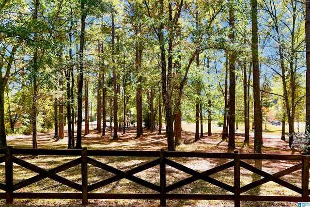 555 MOUNTAIN VIEW DRIVE, Wilsonville, AL 35186