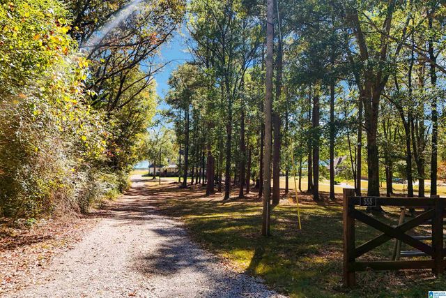 555 MOUNTAIN VIEW DRIVE, Wilsonville, AL 35186