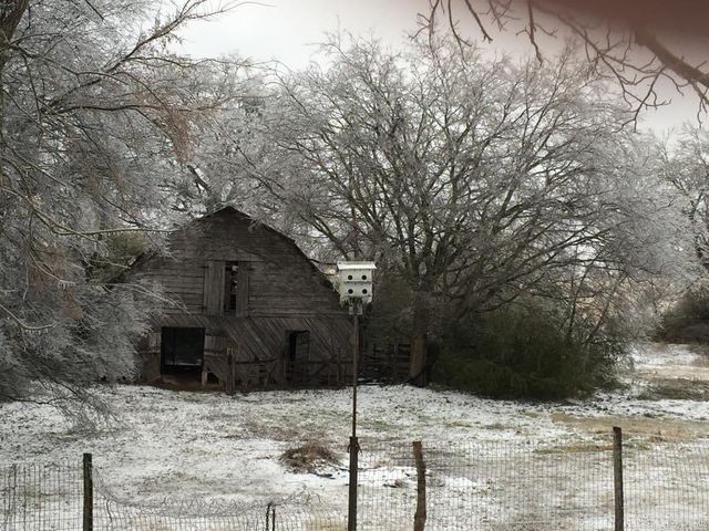 3284 Finch Road, Bismarck, AR 71929