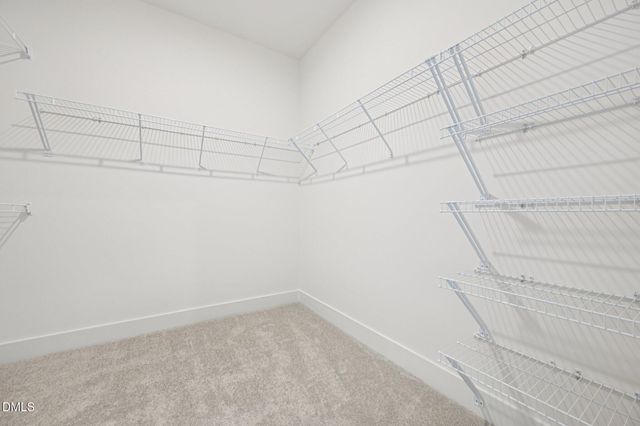 10904 Bayflower Way, Raleigh, NC 27617