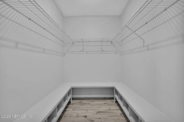 5354 MORGAN HORSE Drive N, Jacksonville, FL 32257