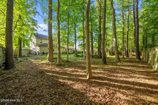 309 Osprey Point Drive, Sneads Ferry, NC 28460
