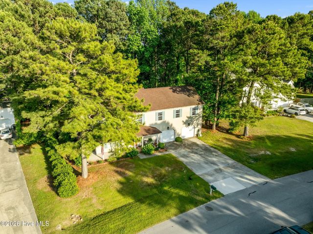 309 Osprey Point Drive, Sneads Ferry, NC 28460
