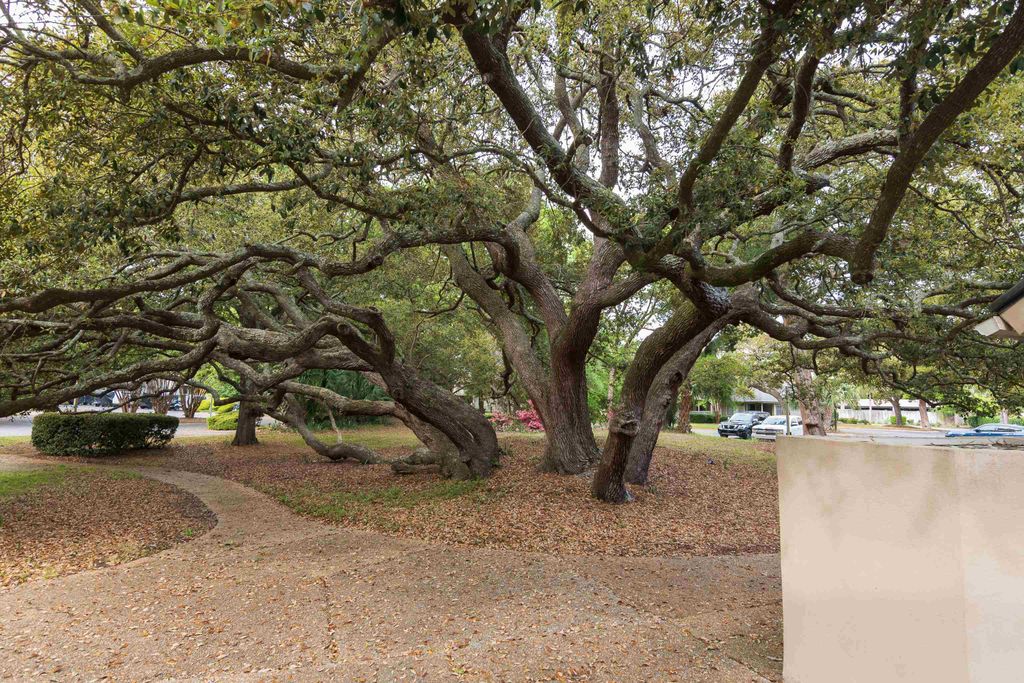 129 Hartland Dr Apt 8D, Myrtle Beach, SC 29572 — photo 3