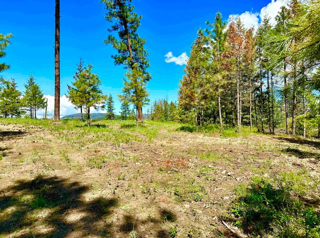 1649 Palmer Loop Loop, Chewelah, WA 99109
