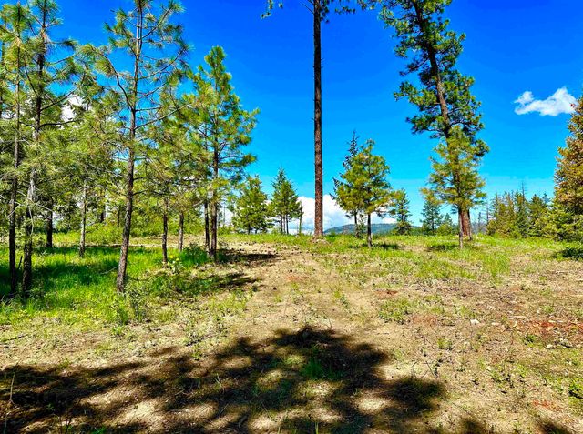 1649 Palmer Loop Loop, Chewelah, WA 99109