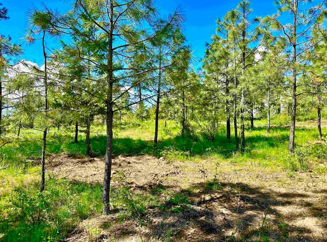 1649 Palmer Loop Loop, Chewelah, WA 99109