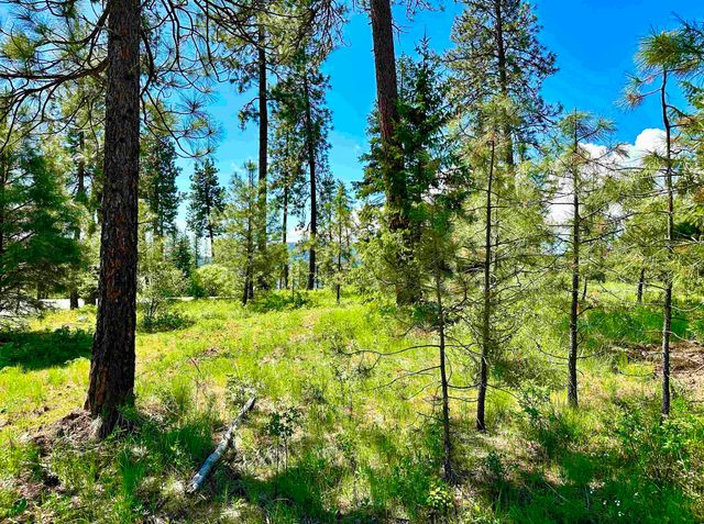 1649 Palmer Loop Loop, Chewelah, WA 99109