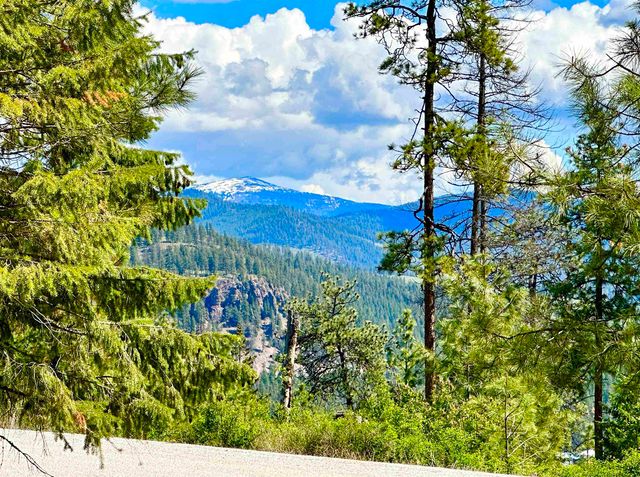 1649 Palmer Loop Loop, Chewelah, WA 99109