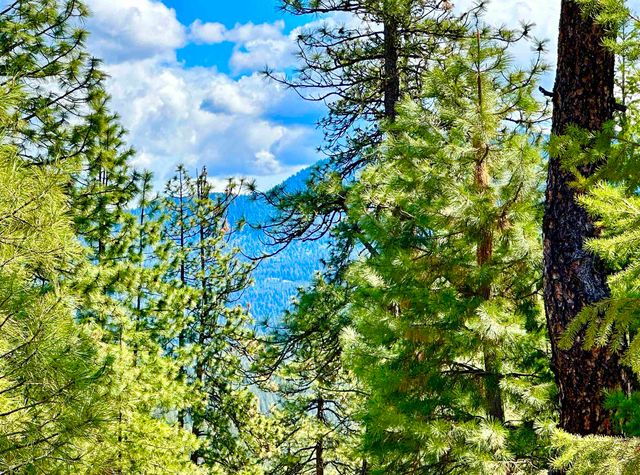 1649 Palmer Loop Loop, Chewelah, WA 99109