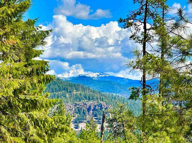 1649 Palmer Loop Loop, Chewelah, WA 99109