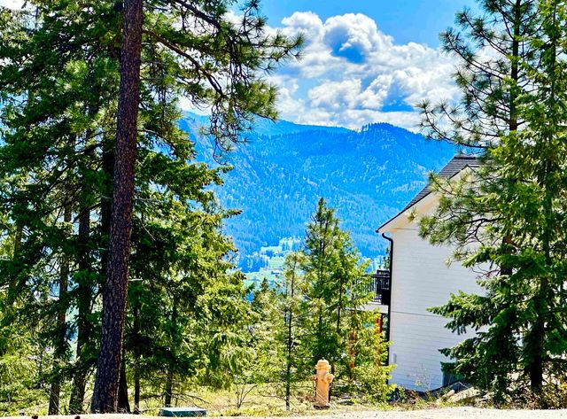 1649 Palmer Loop Loop, Chewelah, WA 99109