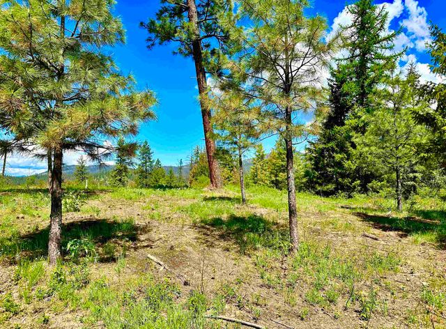 1649 Palmer Loop Loop, Chewelah, WA 99109