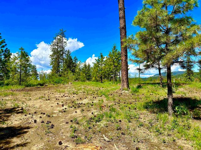 1649 Palmer Loop Loop, Chewelah, WA 99109