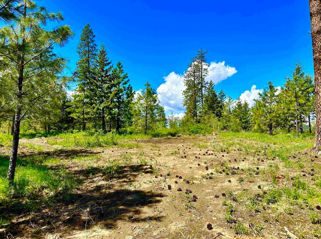 1649 Palmer Loop Loop, Chewelah, WA 99109