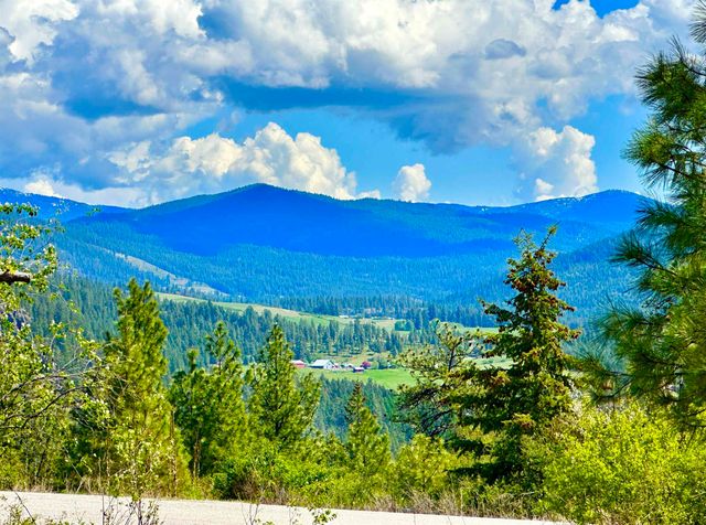 1649 Palmer Loop Loop, Chewelah, WA 99109