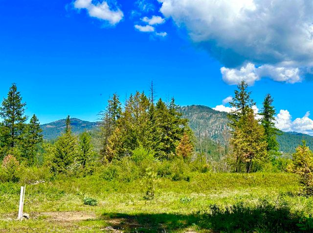 1649 Palmer Loop Loop, Chewelah, WA 99109