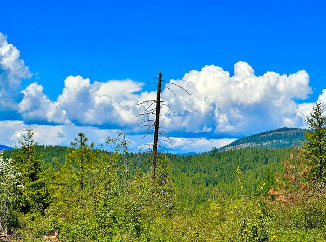 1649 Palmer Loop Loop, Chewelah, WA 99109