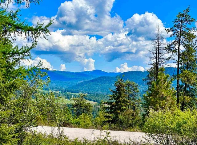 1649 Palmer Loop Loop, Chewelah, WA 99109