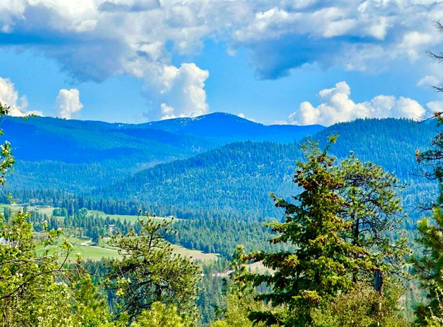 1649 Palmer Loop Loop, Chewelah, WA 99109