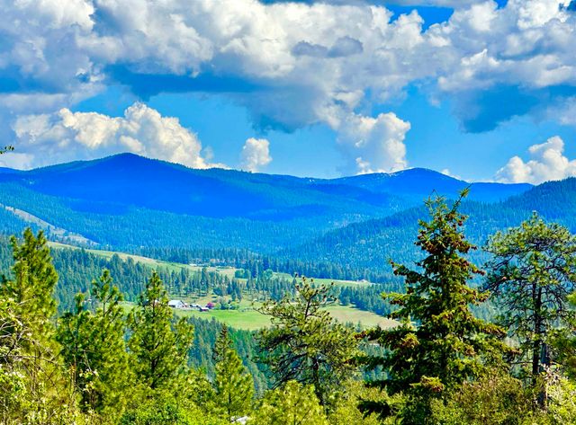 1649 Palmer Loop Loop, Chewelah, WA 99109