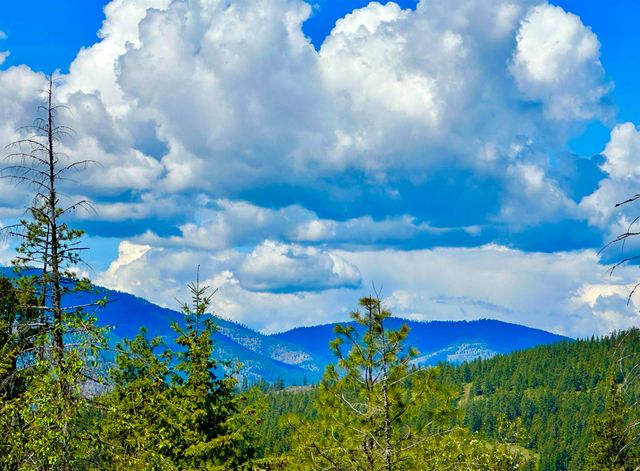 1649 Palmer Loop Loop, Chewelah, WA 99109