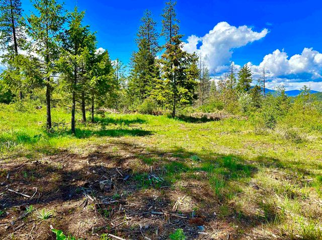 1649 Palmer Loop Loop, Chewelah, WA 99109