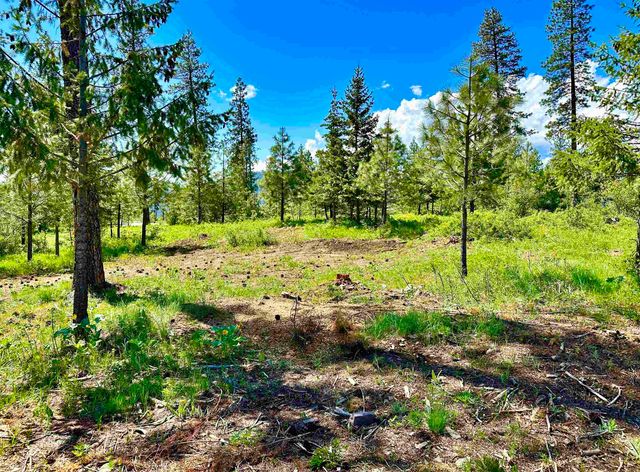 1649 Palmer Loop Loop, Chewelah, WA 99109