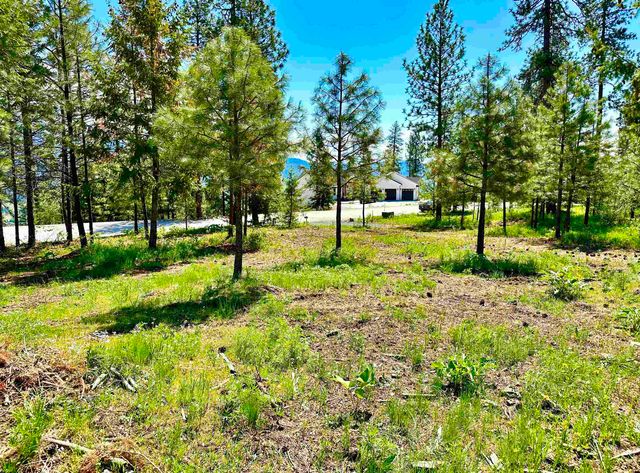 1649 Palmer Loop Loop, Chewelah, WA 99109