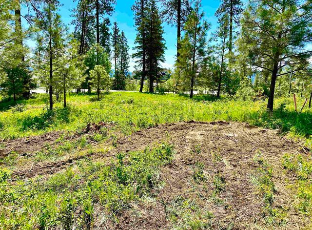 1649 Palmer Loop Loop, Chewelah, WA 99109