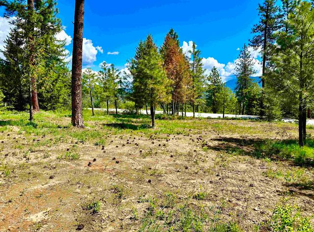 1649 Palmer Loop Loop, Chewelah, WA 99109