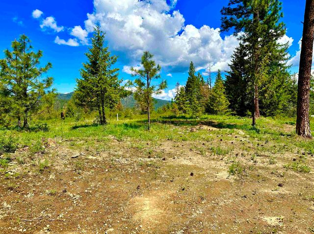 1649 Palmer Loop Loop, Chewelah, WA 99109