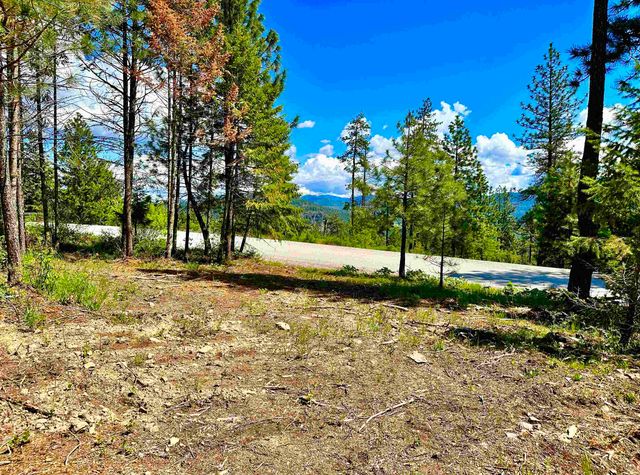 1649 Palmer Loop Loop, Chewelah, WA 99109