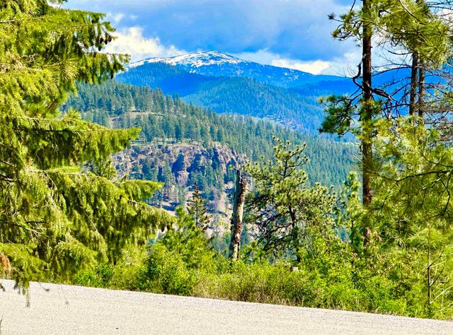 1649 Palmer Loop Loop, Chewelah, WA 99109