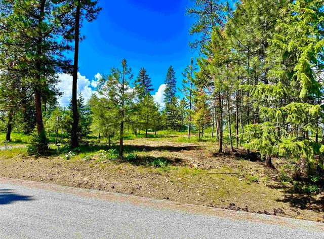 1649 Palmer Loop Loop, Chewelah, WA 99109