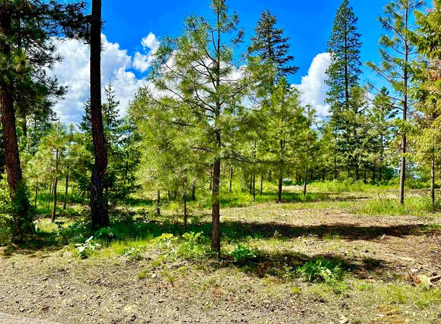 1649 Palmer Loop Loop, Chewelah, WA 99109