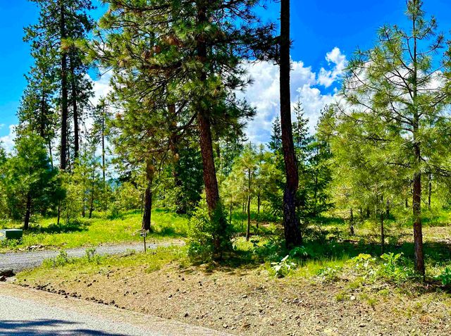 1649 Palmer Loop Loop, Chewelah, WA 99109