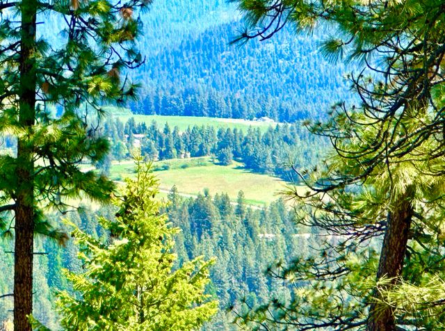 1649 Palmer Loop Loop, Chewelah, WA 99109