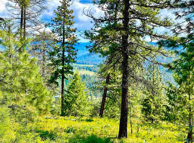 1649 Palmer Loop Loop, Chewelah, WA 99109