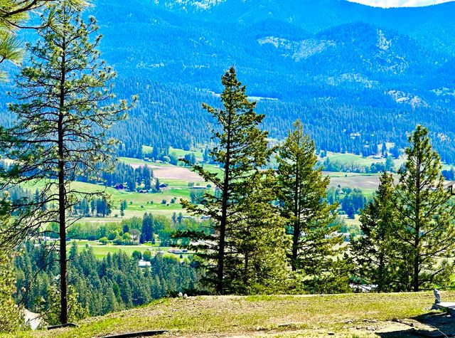 1649 Palmer Loop Loop, Chewelah, WA 99109