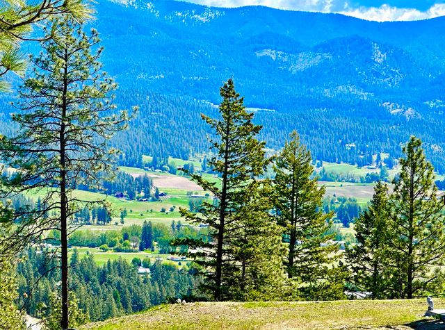 1649 Palmer Loop Loop, Chewelah, WA 99109