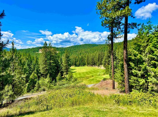 1649 Palmer Loop Loop, Chewelah, WA 99109