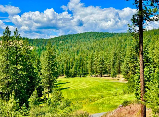 1649 Palmer Loop Loop, Chewelah, WA 99109