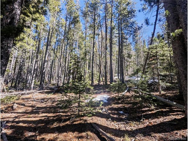3323 Purnell Ln, Fort Garland, CO 81133