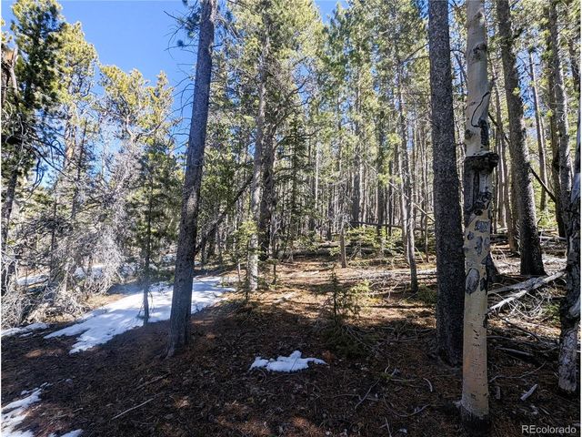 3323 Purnell Ln, Fort Garland, CO 81133